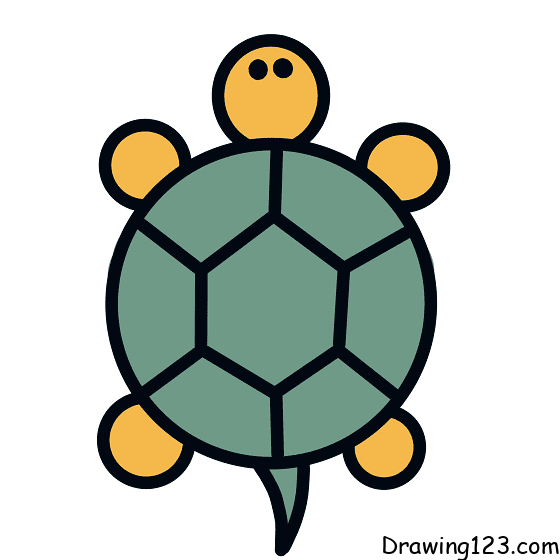 Turtle Drawing Tutorial - How to draw Turtle step by step