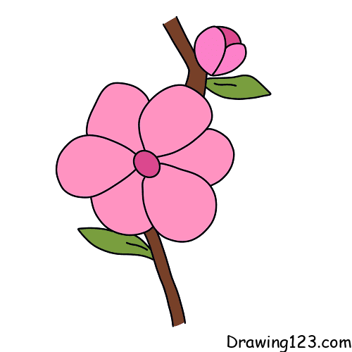 Peach blossom Drawing Tutorial - How to draw Peach blossom step by step
