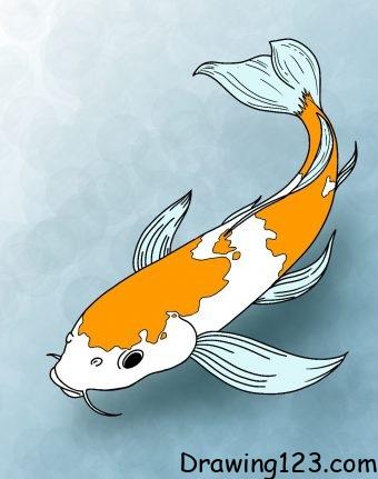 Step-by-Step Koi Fish Drawing Guide for Beginners