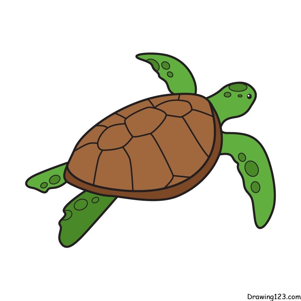 Turtle Drawing Tutorial - How to draw Turtle step by step