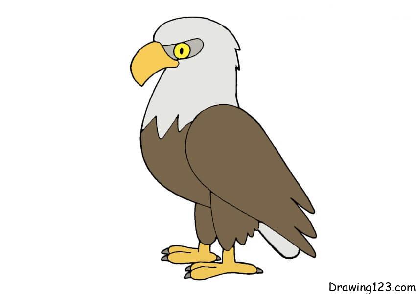 Eagle Drawing Tutorial - How to draw Eagle step by step