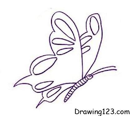 Butterfly Drawing Idea 10