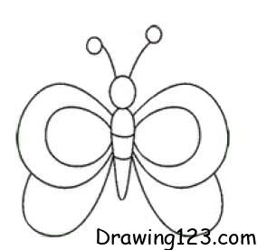 Butterfly Drawing Idea 14