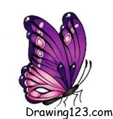 Butterfly Drawing Idea 18