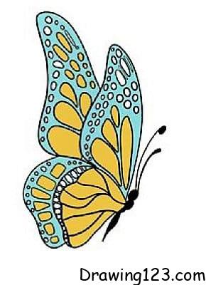 Butterfly Drawing Idea 19