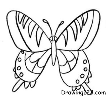 Butterfly Drawing Idea 20