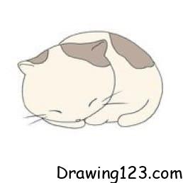 Cat Drawing Idea 16