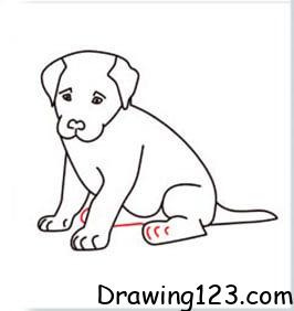Dog Drawing Idea 16
