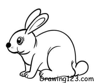 Rabbit Drawing Idea 13