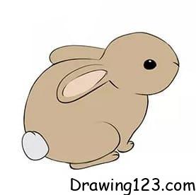 Rabbit Drawing Idea 19