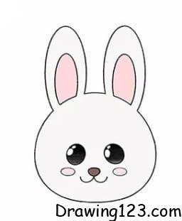 Rabbit Drawing Idea 9
