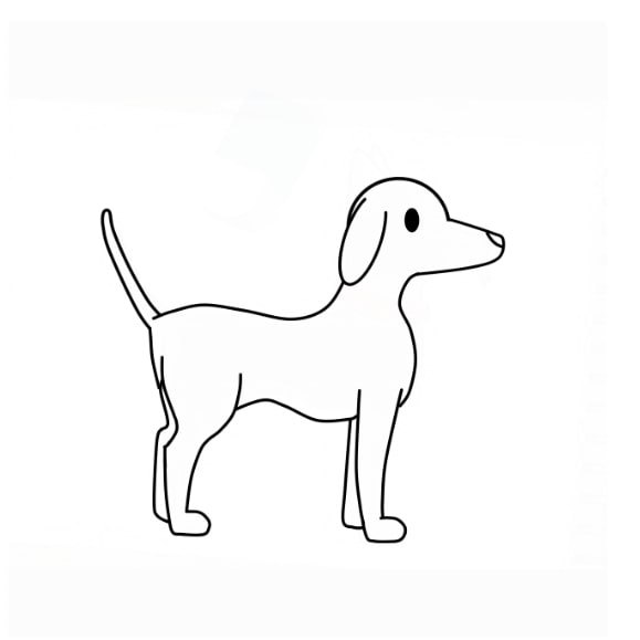 dog-draw-step-14
