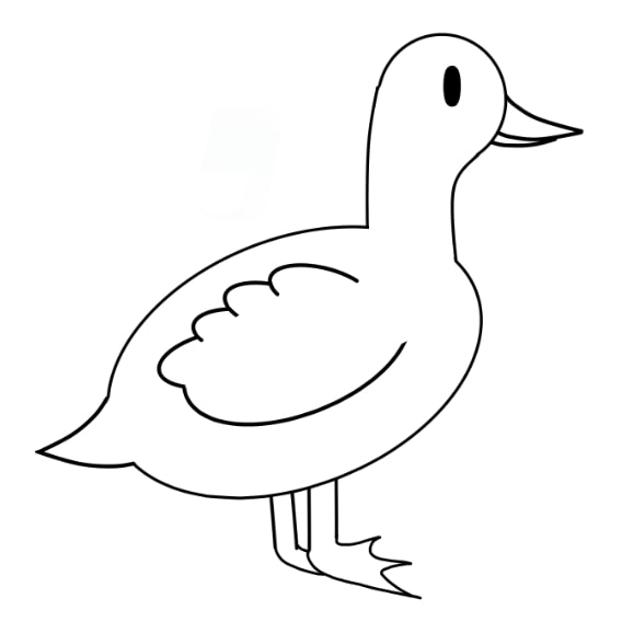 duck-drawing-step-10