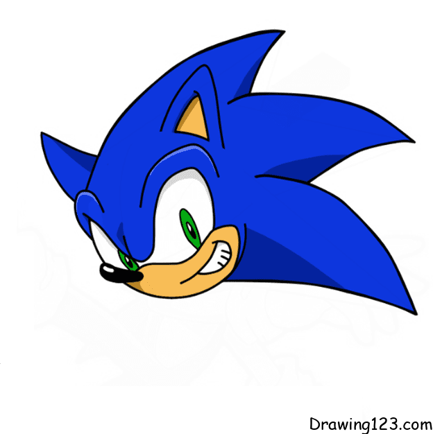 sonic-drawing-step-15