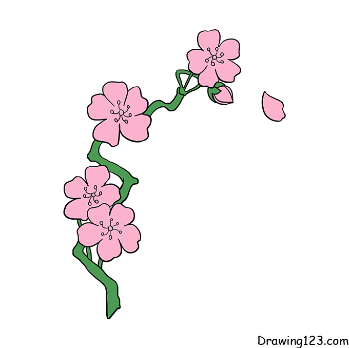 Cherry-Blossom-drawing-step-10