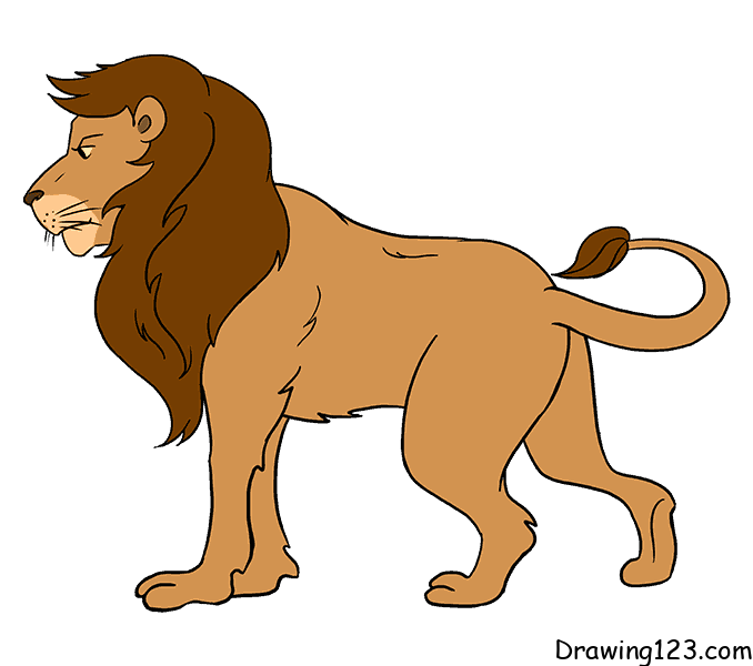 Lion-drawing-step-16-1 イラスト