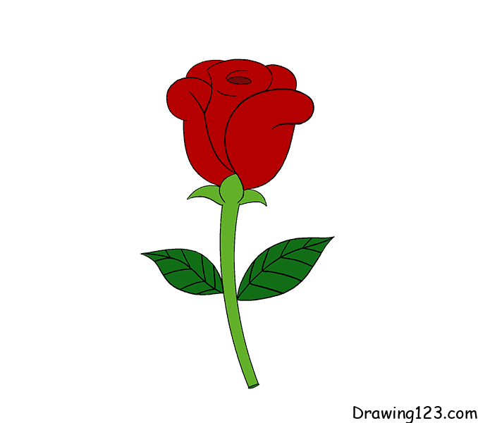 Rose-drawing-step-18