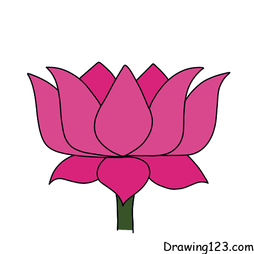 5 Days of Flower Drawings: Day 1 Lotus Flower | The Little Leaf-saigonsouth.com.vn