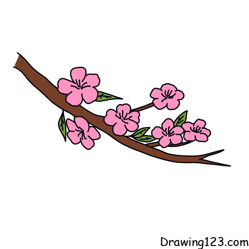 peach-blossom-drawing-step-6
