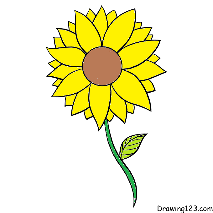 sunflower-drawing-step-7