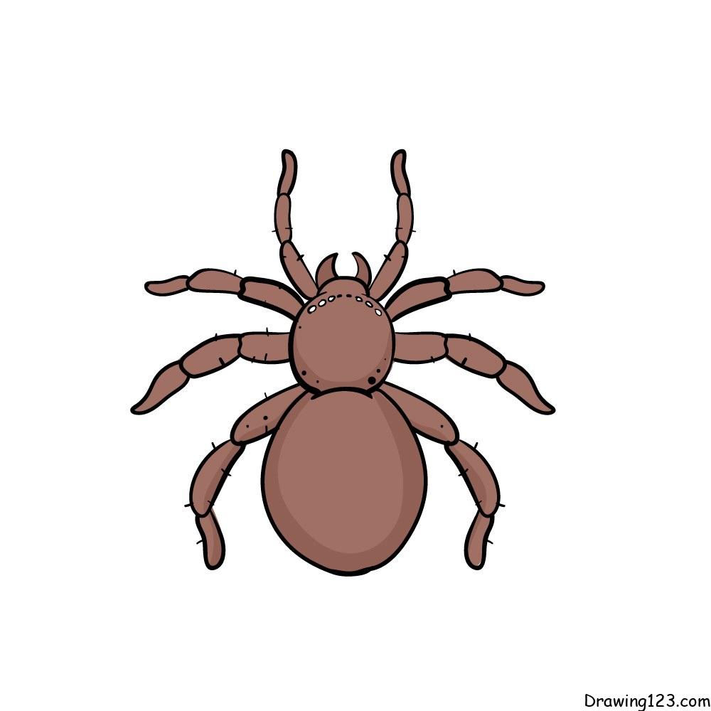 Spider-drawing-step-5