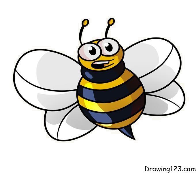bee-drawing-step-12