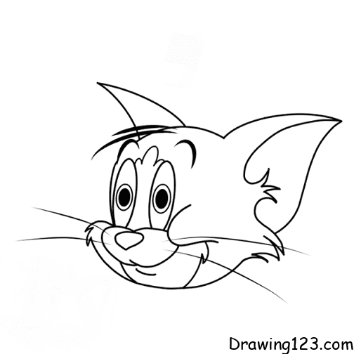cat-tom-drawing-step-11