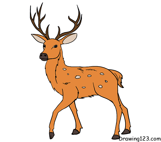 deer-drawing-step-11