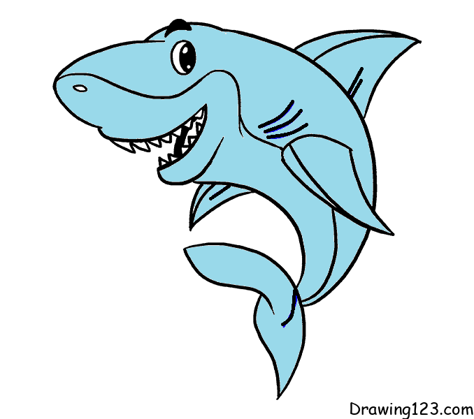 Pисунки drawing-shark-step-11