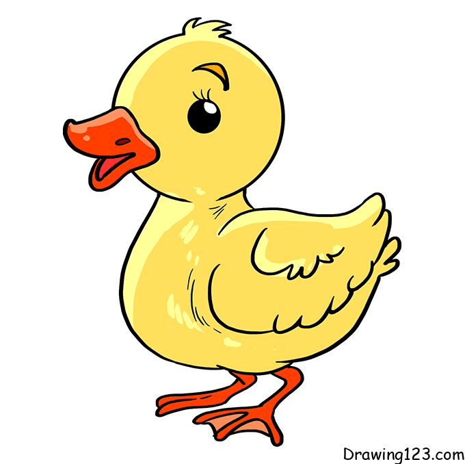 duck-drawing-step-8