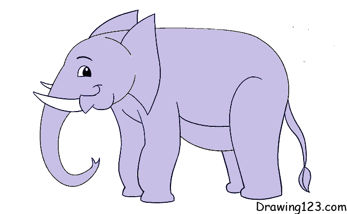 elephant-drawing-step-11