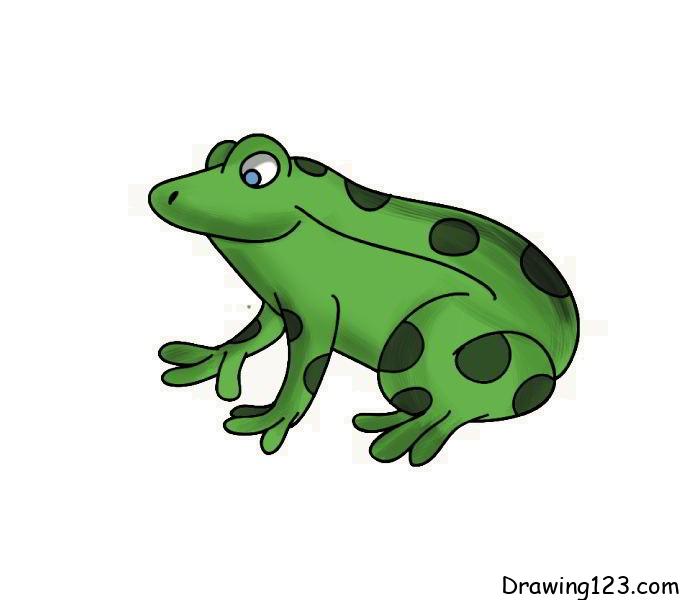 frog-drawing-step-7