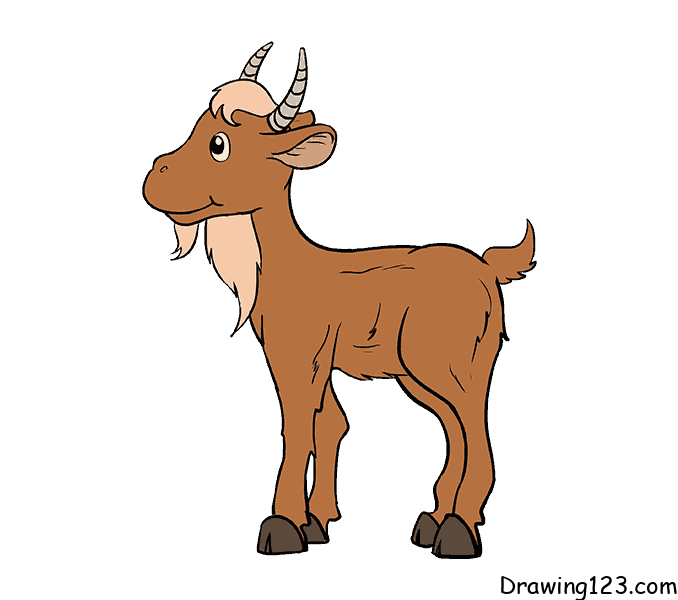 goat-drawing-step-12
