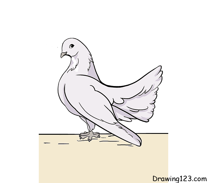 pigeon-drawing-step-11