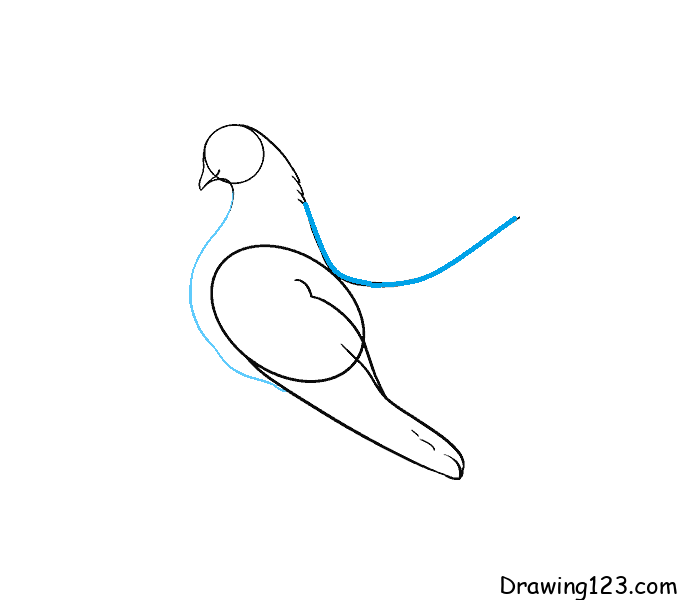 How to Draw a Dove - Easy Drawing Art