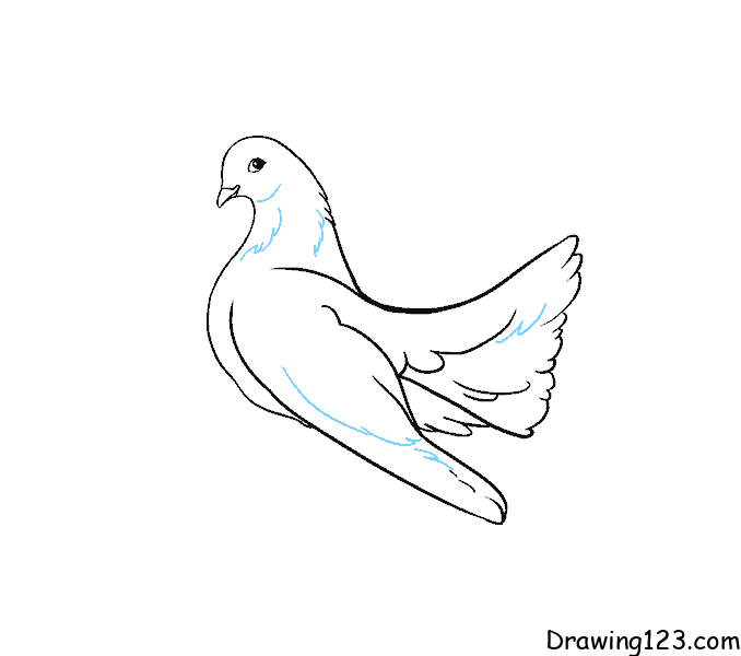How to Draw a Pigeon - Easy Drawing Art