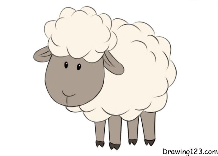 sheep-drawing-step-9