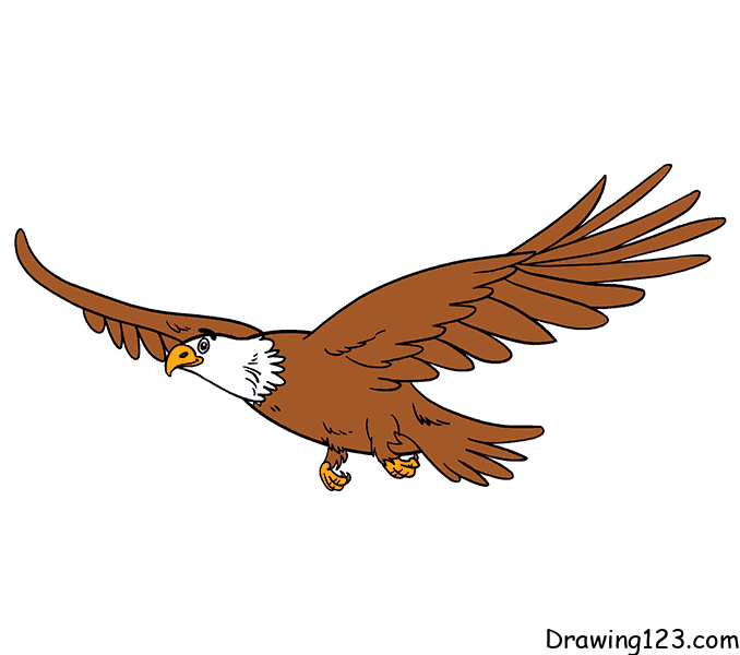Eagle-drawing-step-11-1