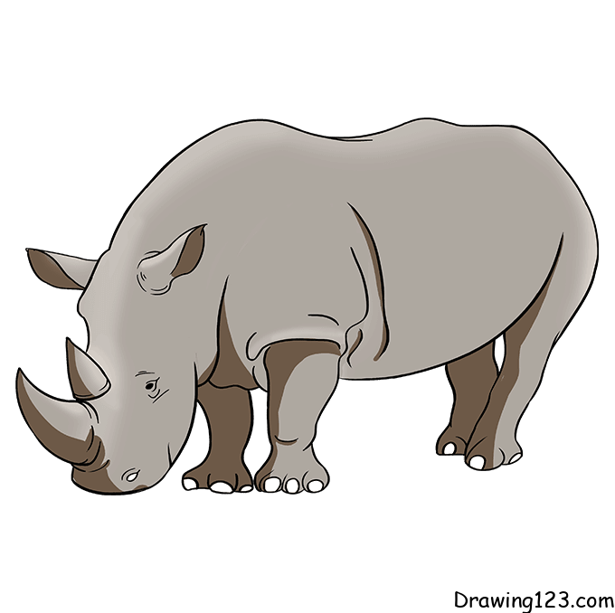 Rhinoceros-drawing-step-7