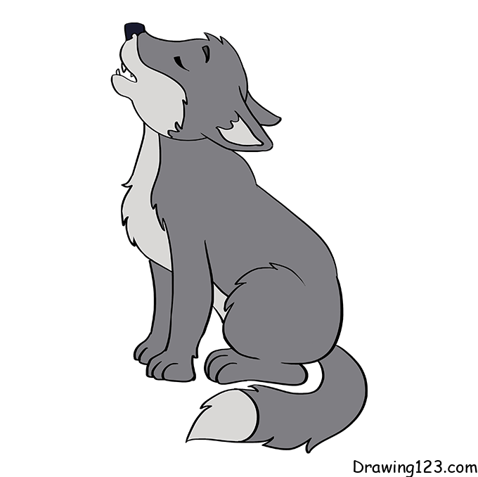 Wolf-drawing-step-9-1