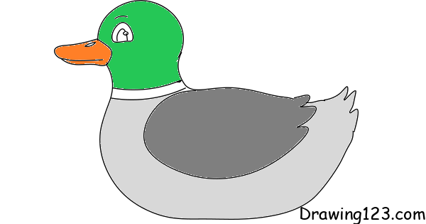 duck-drawing-step-9