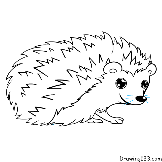 Hedgehog Drawing Tutorial - How to draw Hedgehog step by step