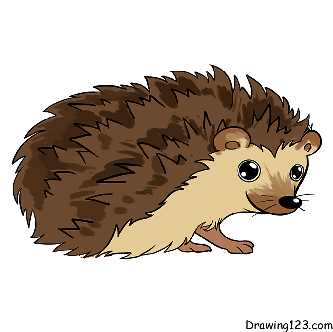 hedgehog-drawing-step-9