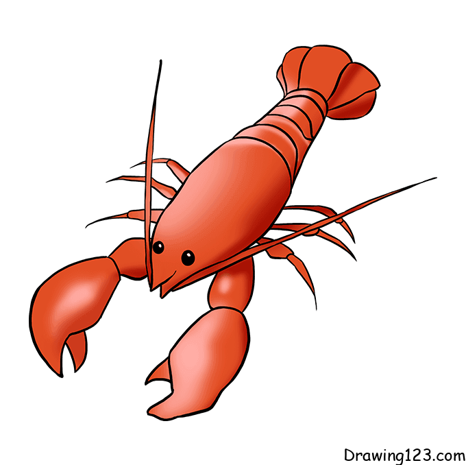 shrimp-drawing-step-8