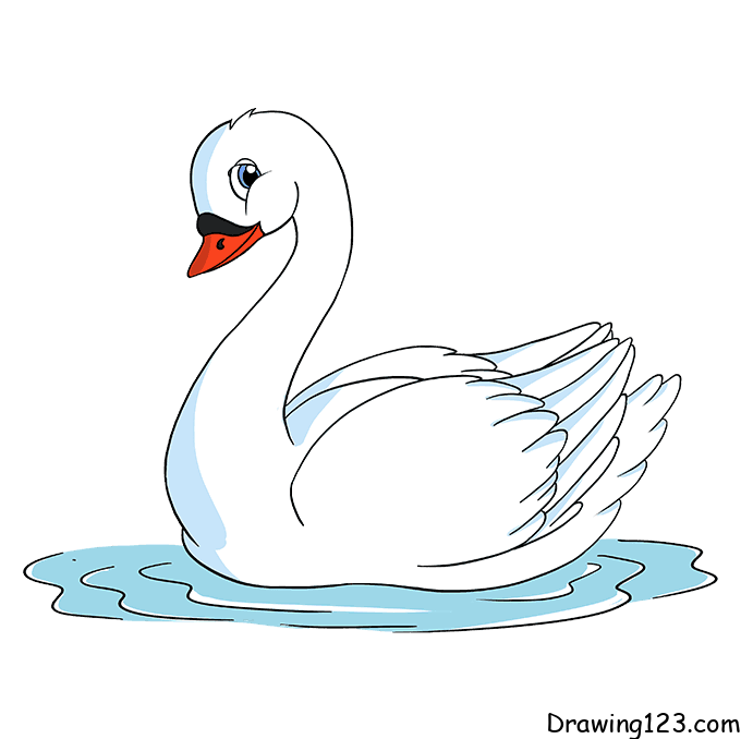 swan-drawing-step-9