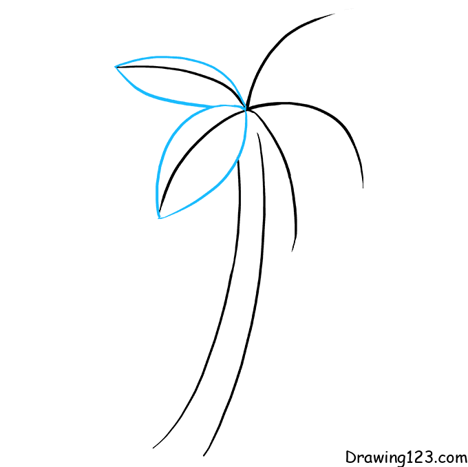 Coconut Tree Drawing - Tutorial - Date Palm Silhouette Transparent PNG-saigonsouth.com.vn