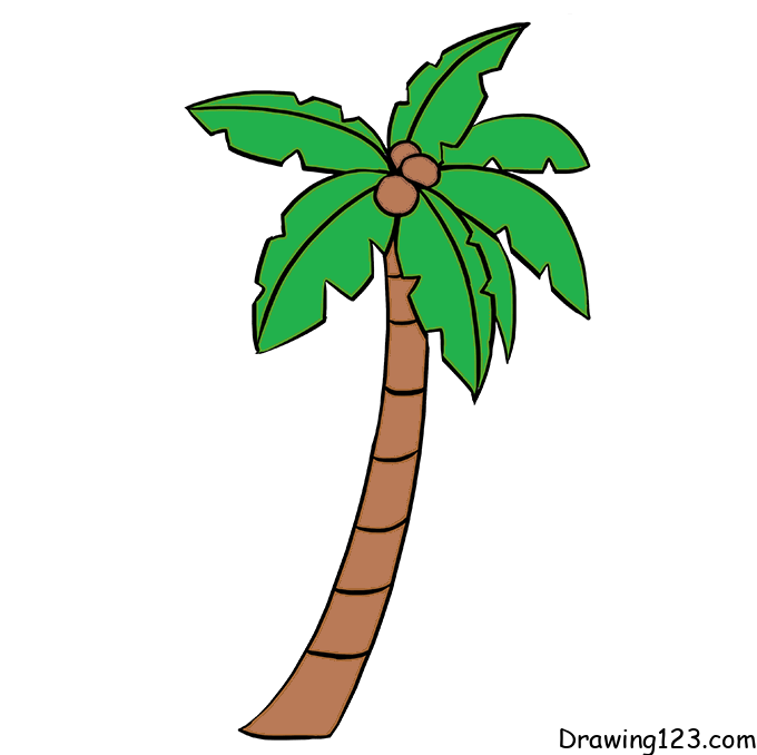 Coconut-Tree-drawing-step-7