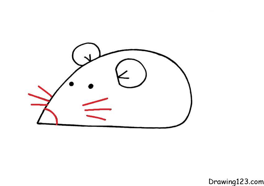 This image has an empty alt attribute; its file name is Mouse-drawing-step-4.jpg