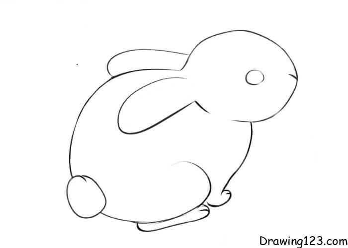 Rabbit-drawing-step-8