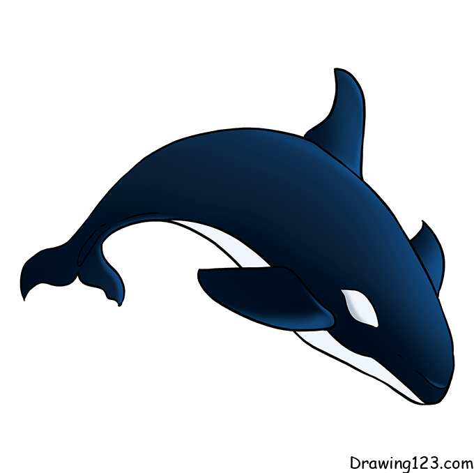 Whale-drawing-step-8